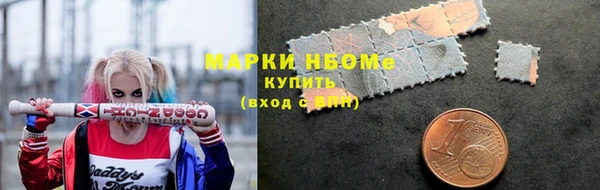 гашик Гусев