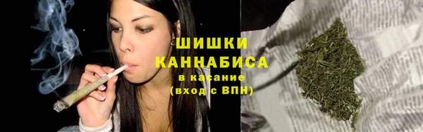 индика Гусиноозёрск
