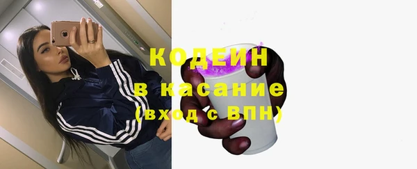 сатива Гусь-Хрустальный