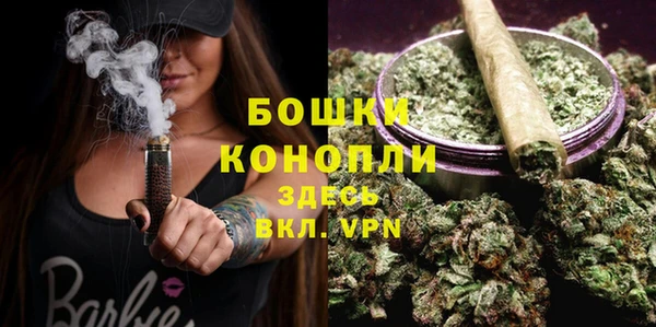 МДПВ Дмитровск