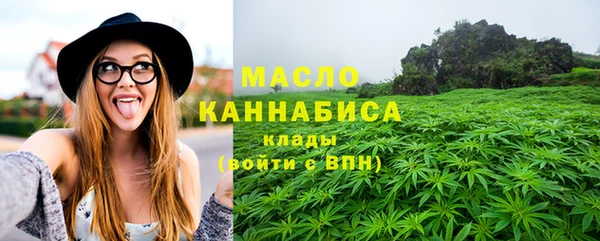 индика Гусиноозёрск