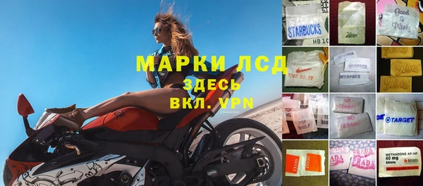 гашик Гусев