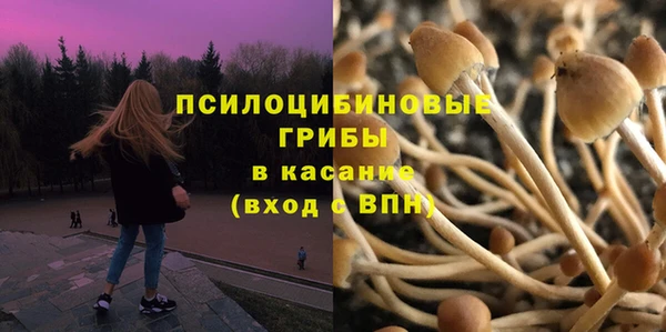 гашик Гусев