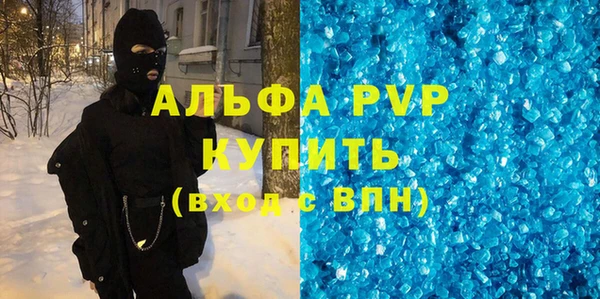 индика Гусиноозёрск