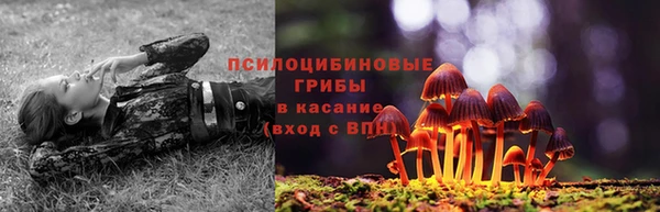 гашик Гусев